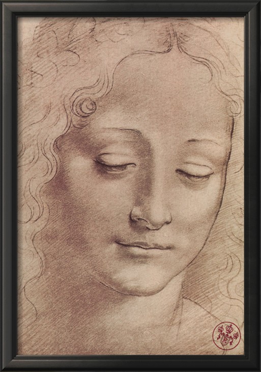 TESTA DI GIOVINETTA By Leonardo Da Vinci
